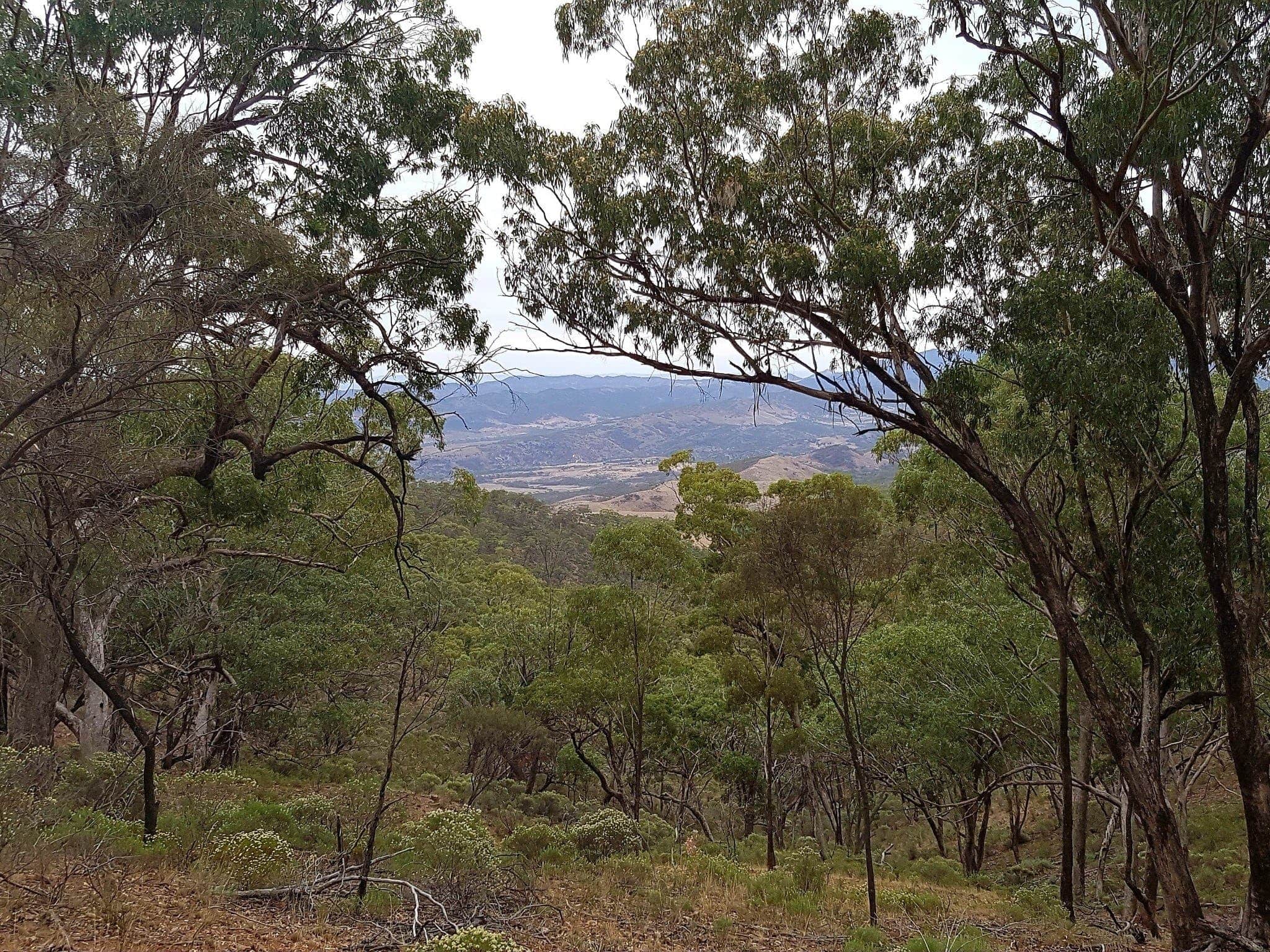 Mount Brown, The Dutchmans Stern and Telowie Gorge Conservation Parks