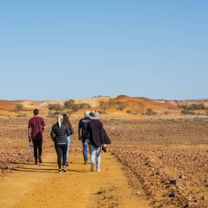 Hawker Institute Flinders Ranges About Hawker