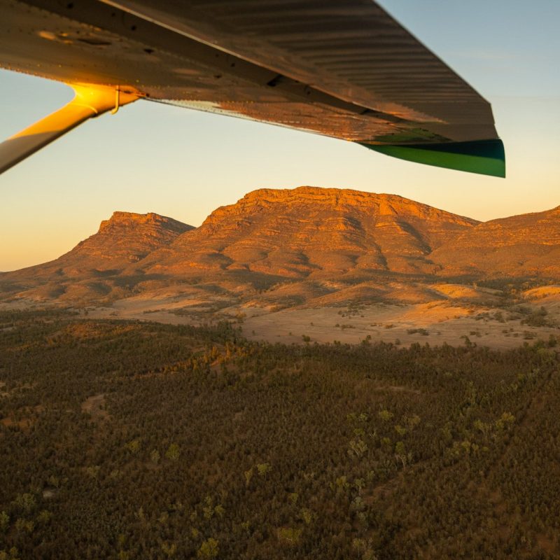 Wilpena Pound from the air, Ikara-Flinders Ranges National Park