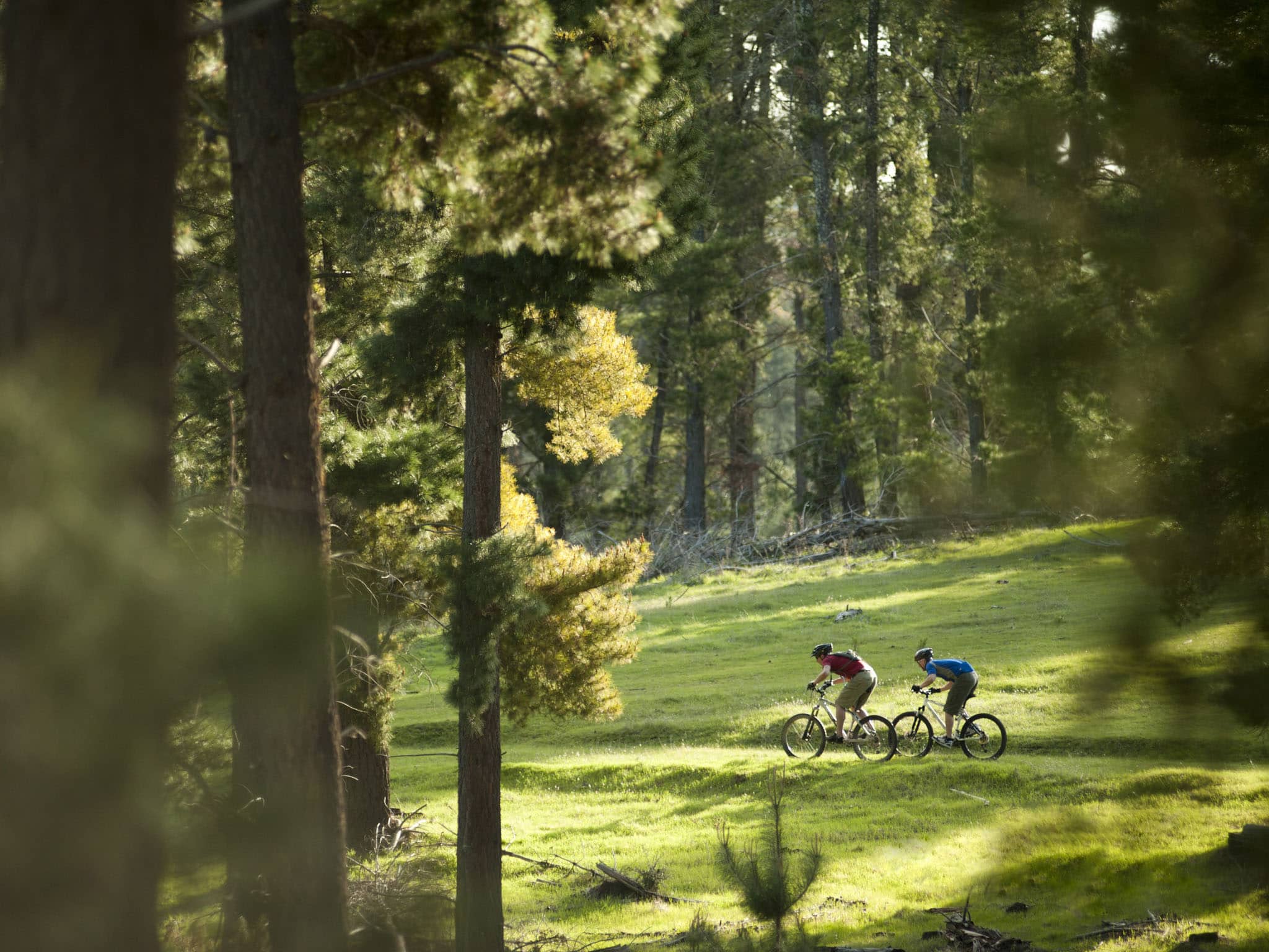 Finders Ranges Adventure Rides Flinders Ranges and Outback National Parks - Bundaleer Forest
