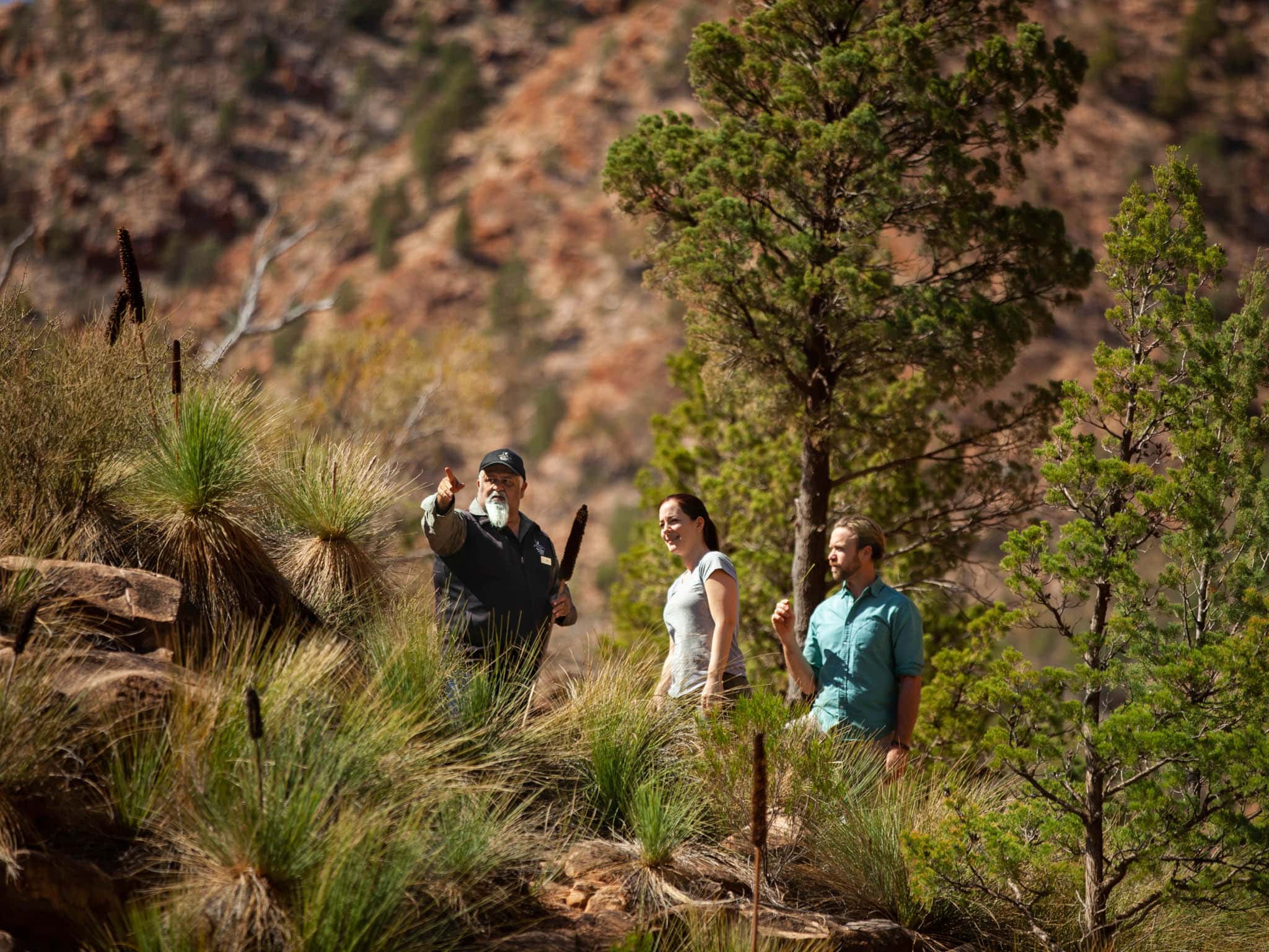 Flinders ranges clearance multi day hikes