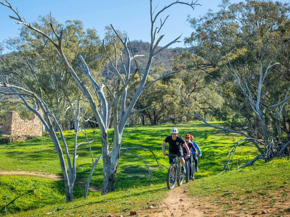 4-Day Itinerary in the Southern Flinders Ranges