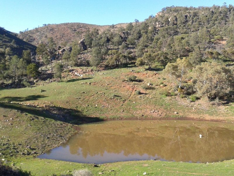 ATDW Horseshoe Rim Wilderness Cabin 1.jpeg The Wilderness Cabin overlooks a huge dam. Watch the sheep and native animals come in to water.
