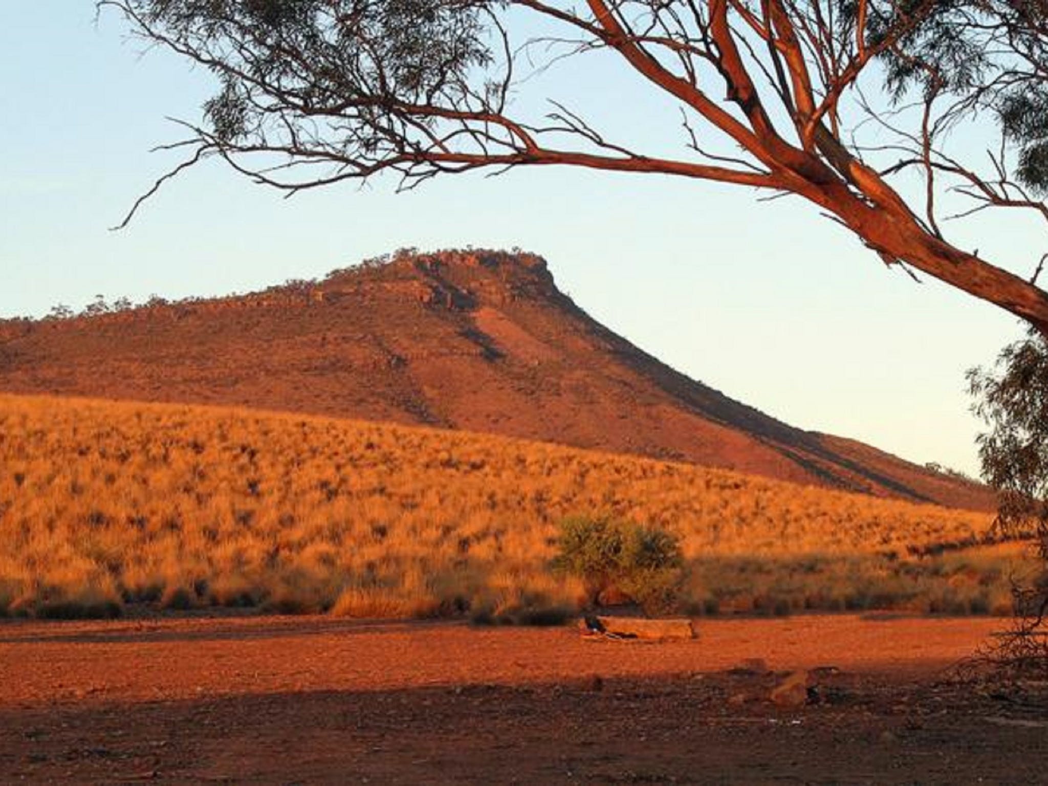 Dutchman Stern Conservation Park Trail Flinders Ranges and Outback
