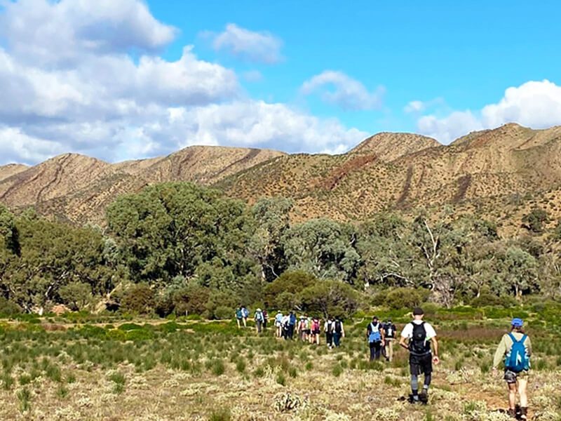 Big Heart Adventures wellness walks and hikes in the Flinders Ranges