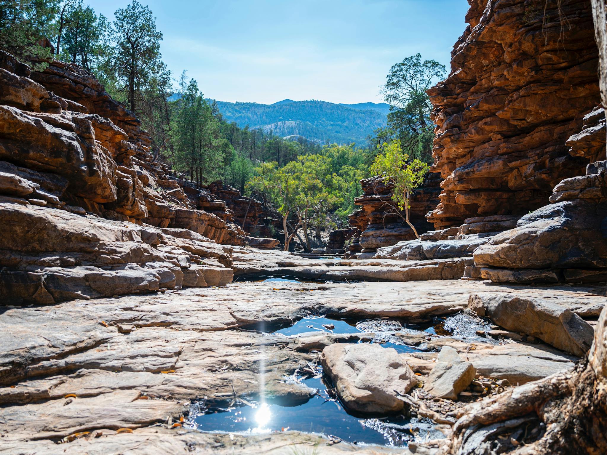 Ferguson Gorge Scenic Drive and Bush Walk - Flinders Ranges and Outback