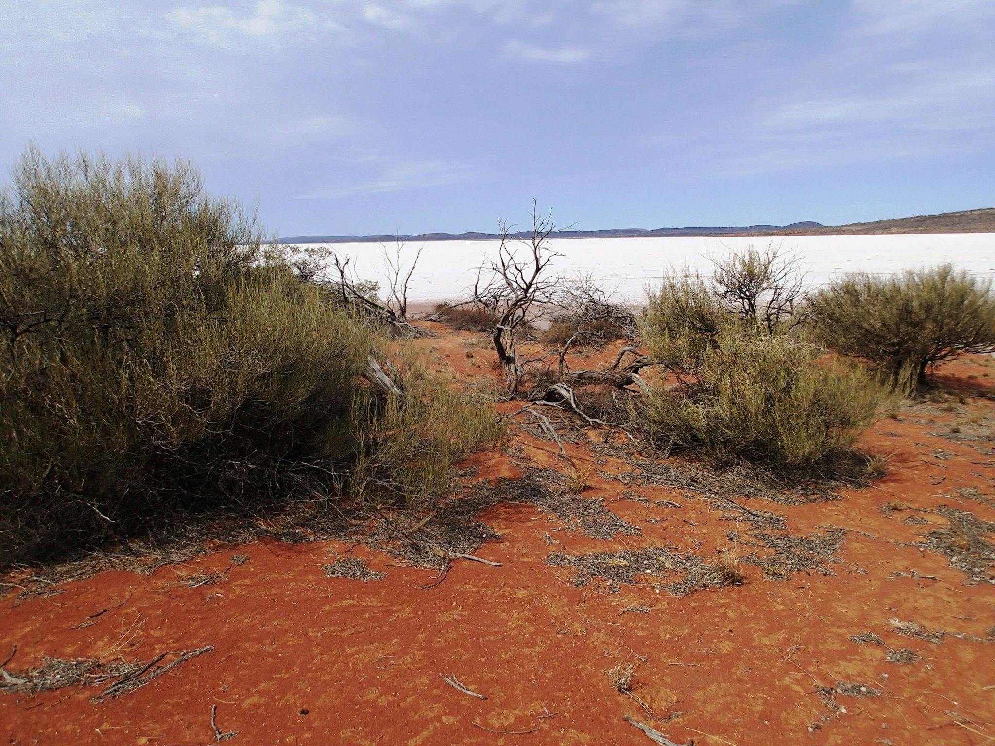 Lake Gairdner National Park Campgrounds Flinders Ranges and Outback