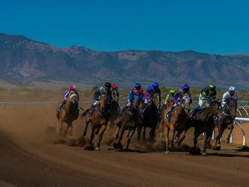 Oz Minerals Carrapateena Quorn Cup