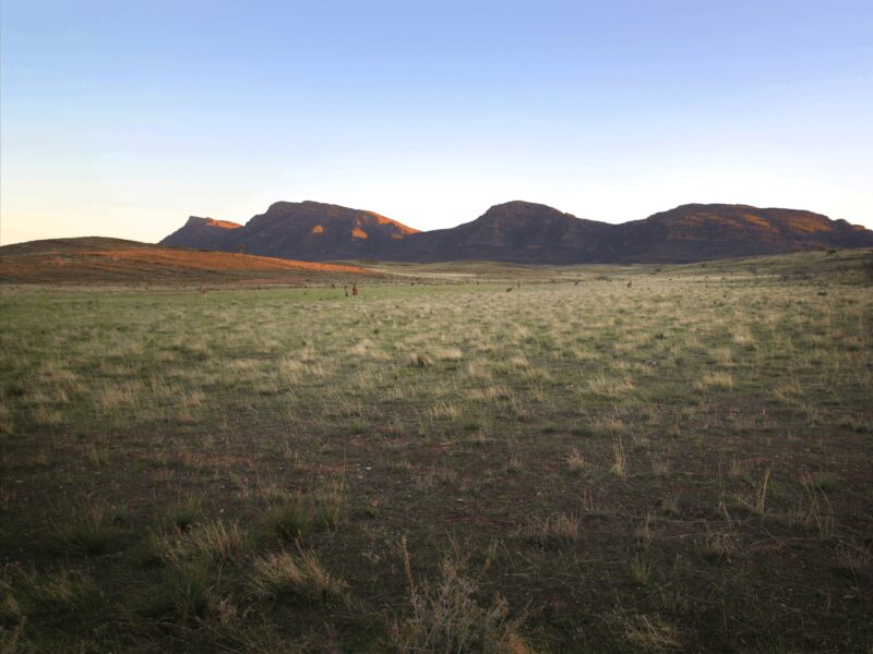 flinders-ranges