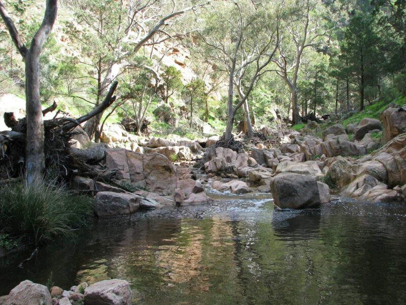 Telowie Creek flows within Telowie Gorge Conservation Park