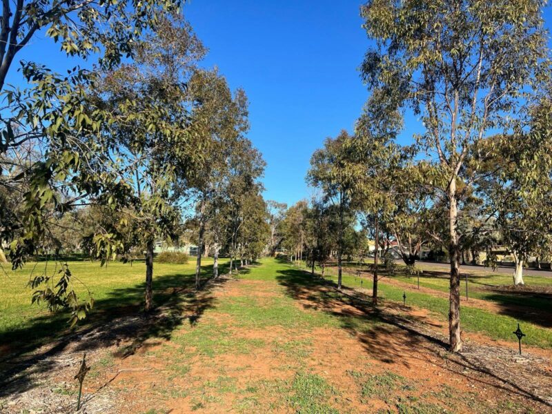 Walk of Remembrance