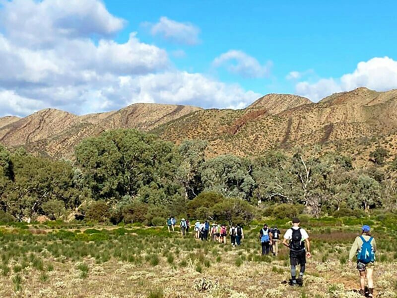 Big Heart Adventures wellness walks and hikes in the Flinders Ranges