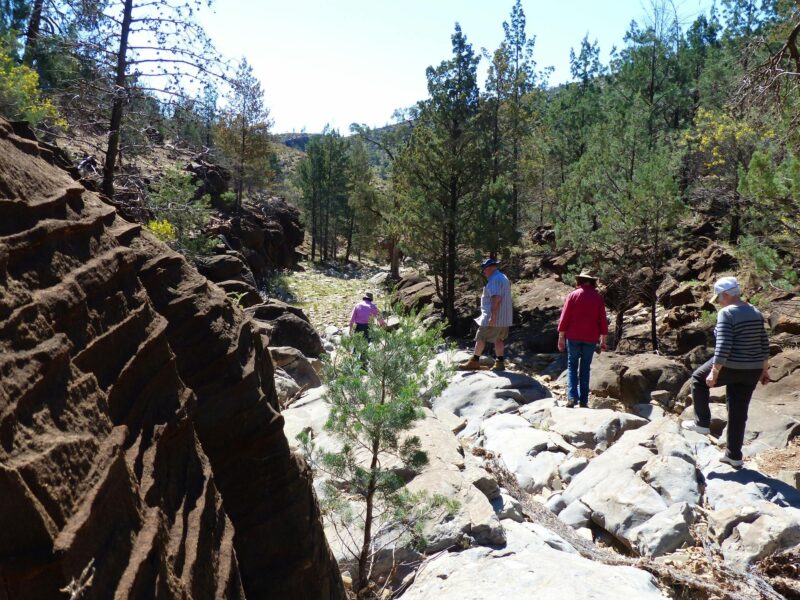 Blinman Pools Guided Walk