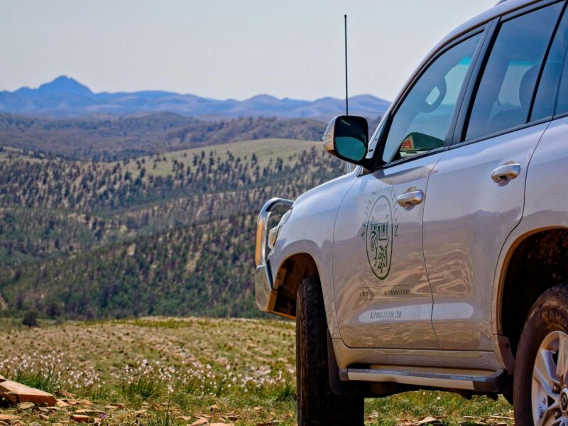 At 700m above sea level Mt Nielsen is one of the highest peaks in the Flinders with 4WD access