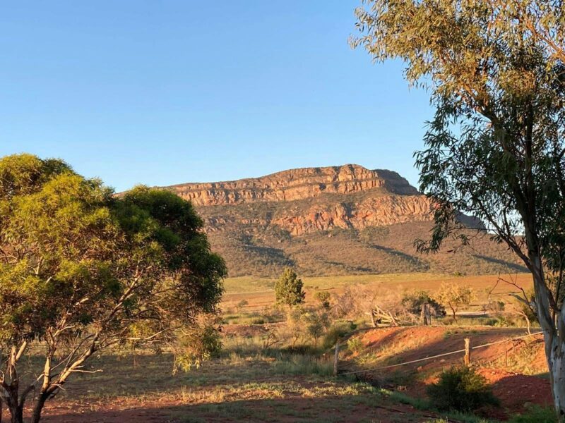 Flinders Ranges Eco Tour Rawnsley Bluff