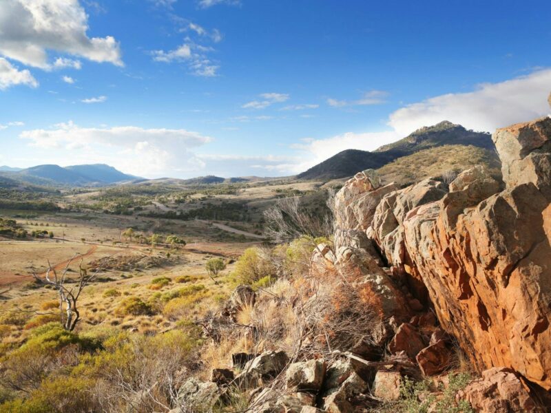 Looking north across Pichi Richi Park, towards Dutchman's Stern NP, Flinders Ranges, South Australia