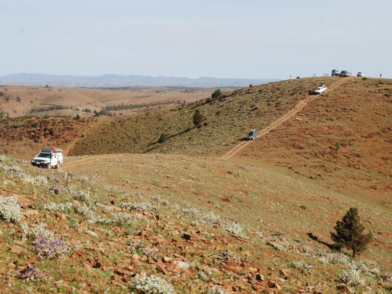 Up high in the Flinders Ranges