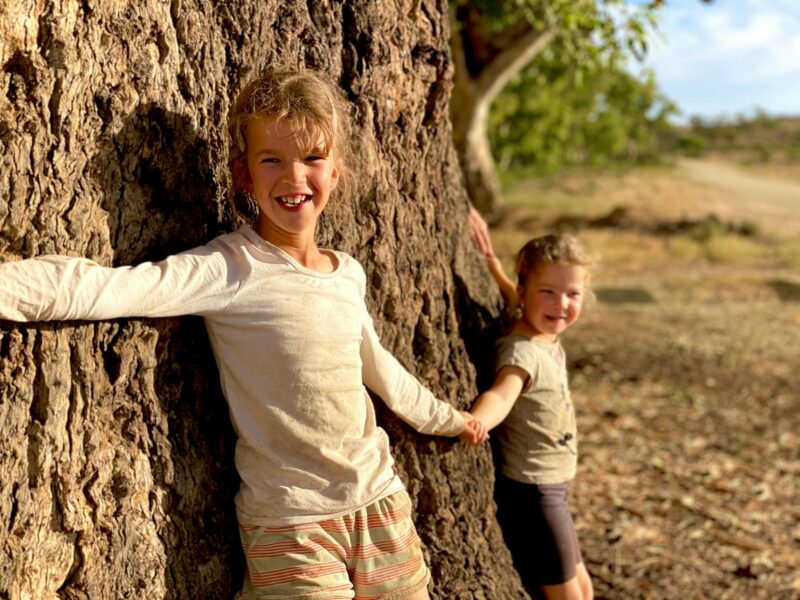 Giant Gum Tree