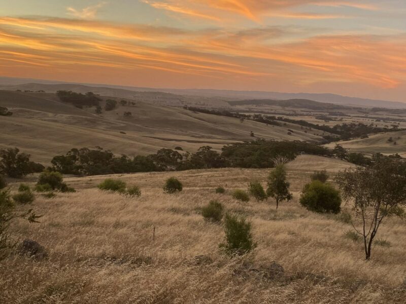 A sunset view