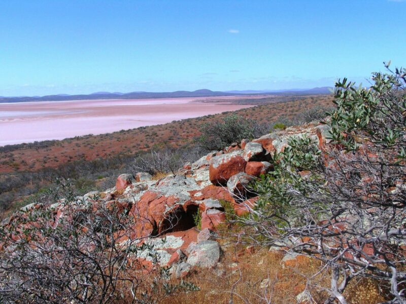 The large saline lake system surrounded by red sand hills in Lake Gairdner National Park