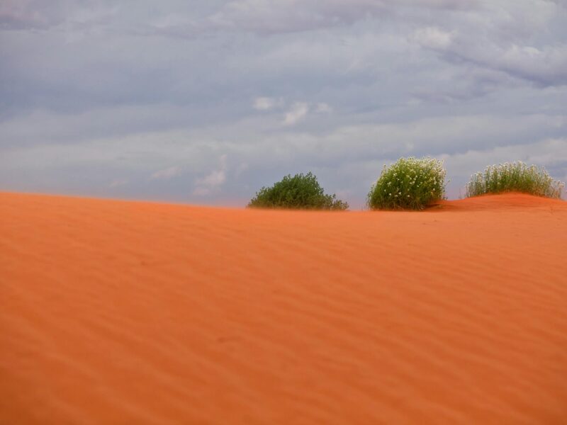 Red dune