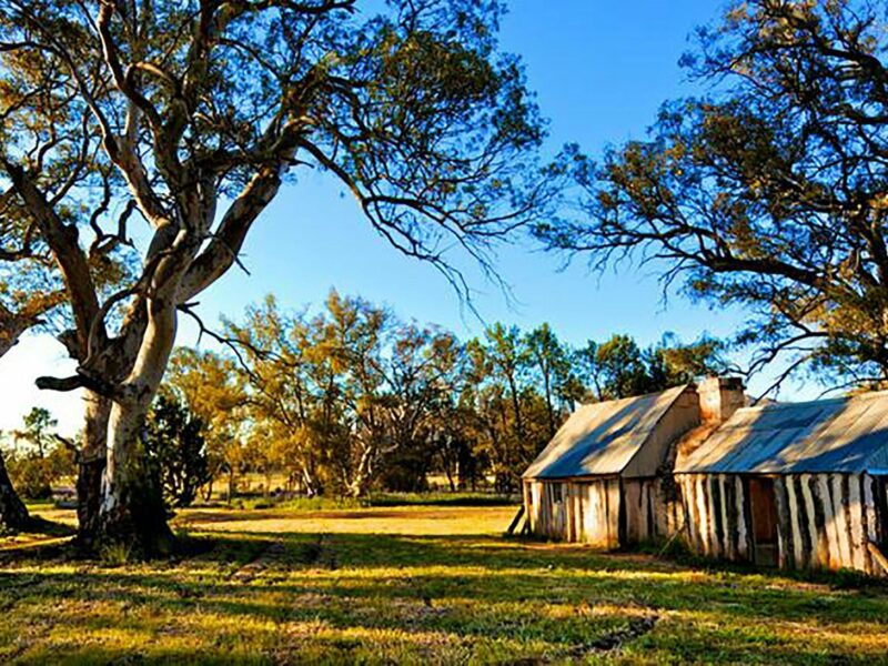 Old Wilpena Station