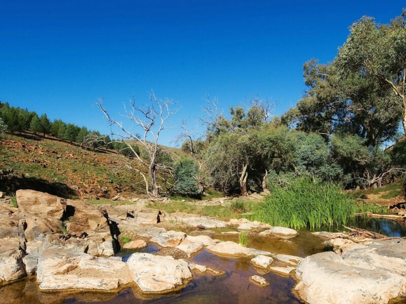 Reedy Creek Walking Trail, Skytrek Willow Springs Station