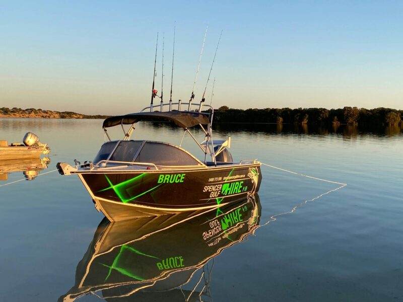 Boat that can be hired, sitting pretty on a cool winter morning before a day in the water