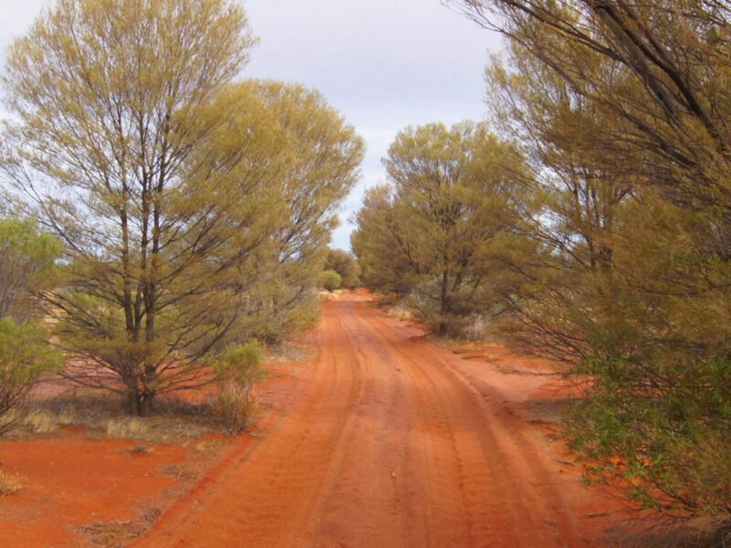 Anne Beadell Highway