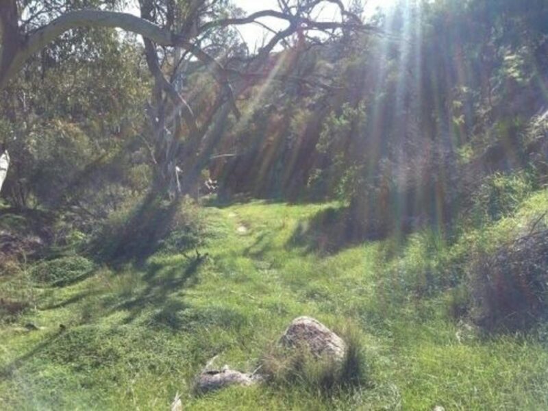 Between Woolshed Flat and Wakarie Falls