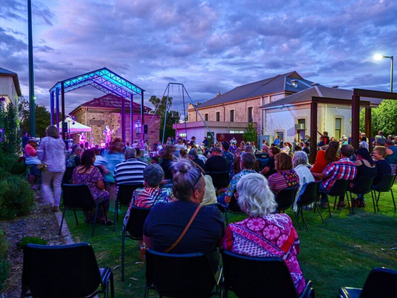 ATDW A Night Under The Stars.jpeg A Night Under the Stars