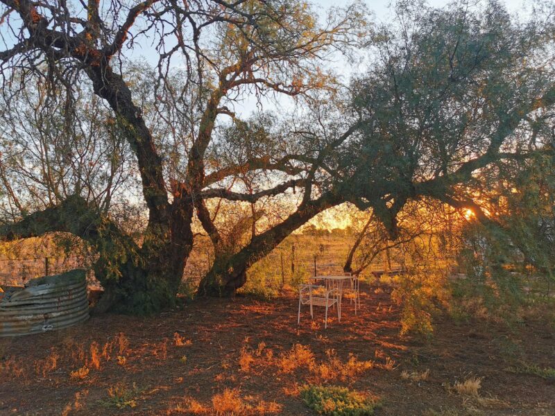 ATDW Gladstone Country Retreat.jpeg Peppertree sunset GCR