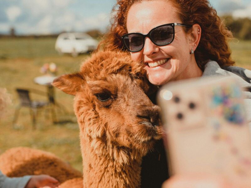 A woman taking a selfie with an alpaca at Quentin Park Alpacas