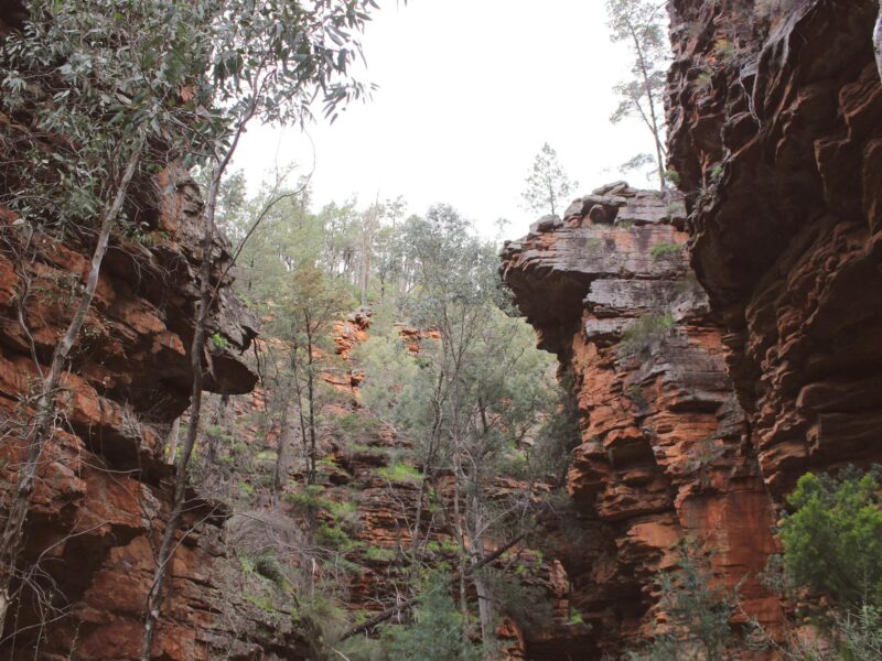 ATDW Alligator Gorge.jpeg Ancient rocks