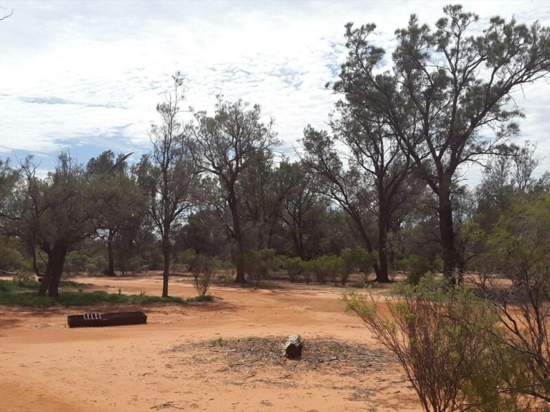 ATDW Danggali Conservation Park Campgrounds.jpeg Danggali Conservation Park