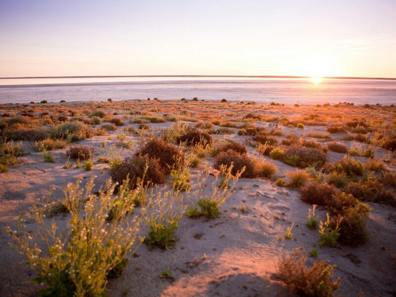 ATDW Kati Thanda Lake Eyre National Park Campgrounds.jpeg Sunrise at Kati Thanda-Lake Eyre National Park's Halligan Bay Point
