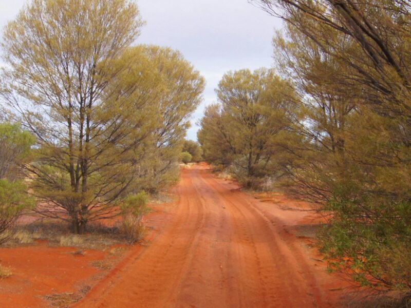 ATDW Tallaringa Conservation Park.jpeg Anne Beadell Highway