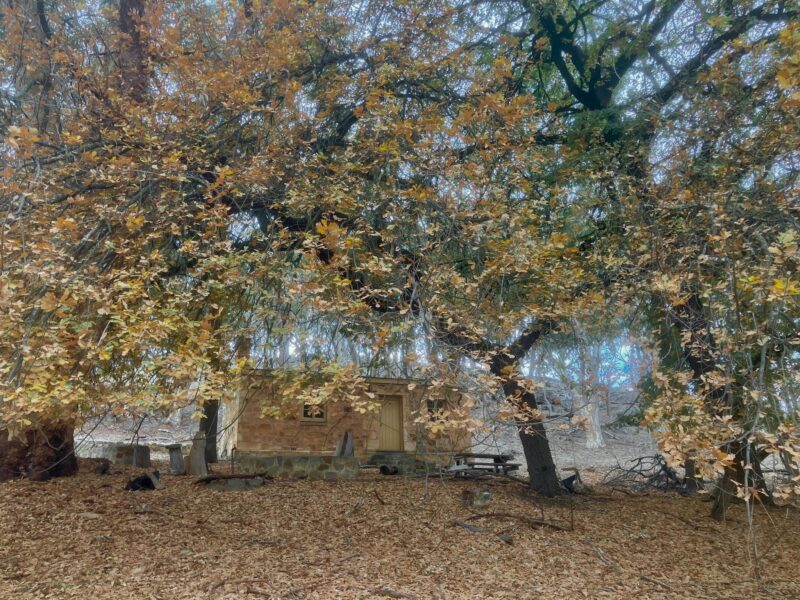Bundaleer Forest trail