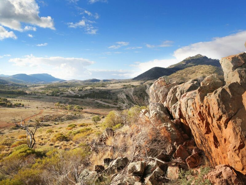 Looking north across Pichi Richi Park, towards Dutchman's Stern NP, Flinders Ranges, South Australia