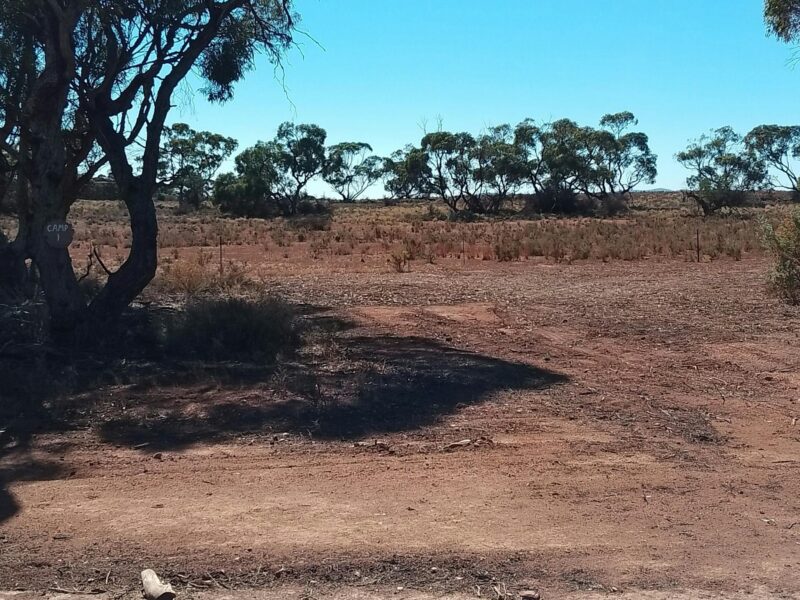Willangi Bush Escapes