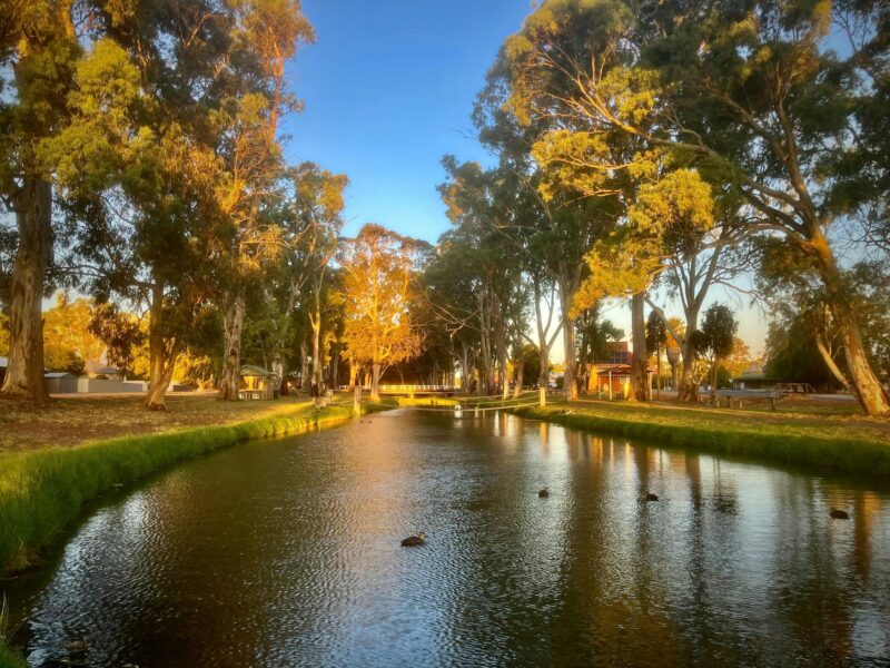 Belalie Creek, Jamestown - Walk along the creek and crossing the creek on the swing bridge.