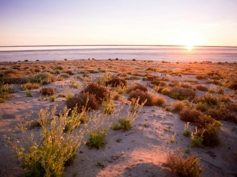 Sunrise at Kati Thanda-Lake Eyre National Park's Halligan Bay Point