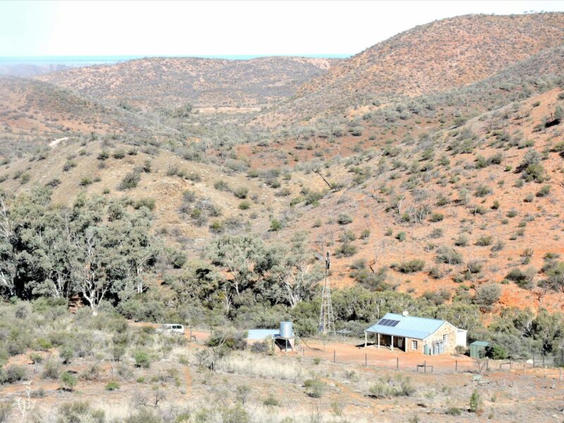 Nudlamatana Hut
